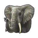 Abdfil, Elephant Handler