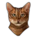 Centurio Chirotheca, Ship's Cat