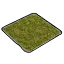 Short Grass