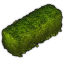 Trimmed Hedge