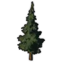 Teutonic Pine