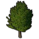 Stout Tree