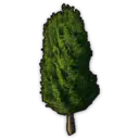 Trimmed Tree