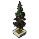 Teutonic Pine (Planted)
