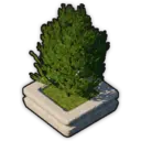 Stout Tree (Planted)