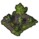 Ambrosian Forest