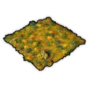 Dandelion Patch