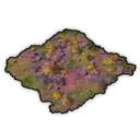 Blooming Shrubs