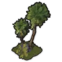 Exotic Garden