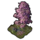 Springtime Garden
