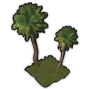 Exotic Fern Garden