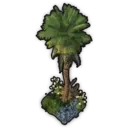 Palm Tree