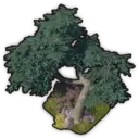 Gum Tree